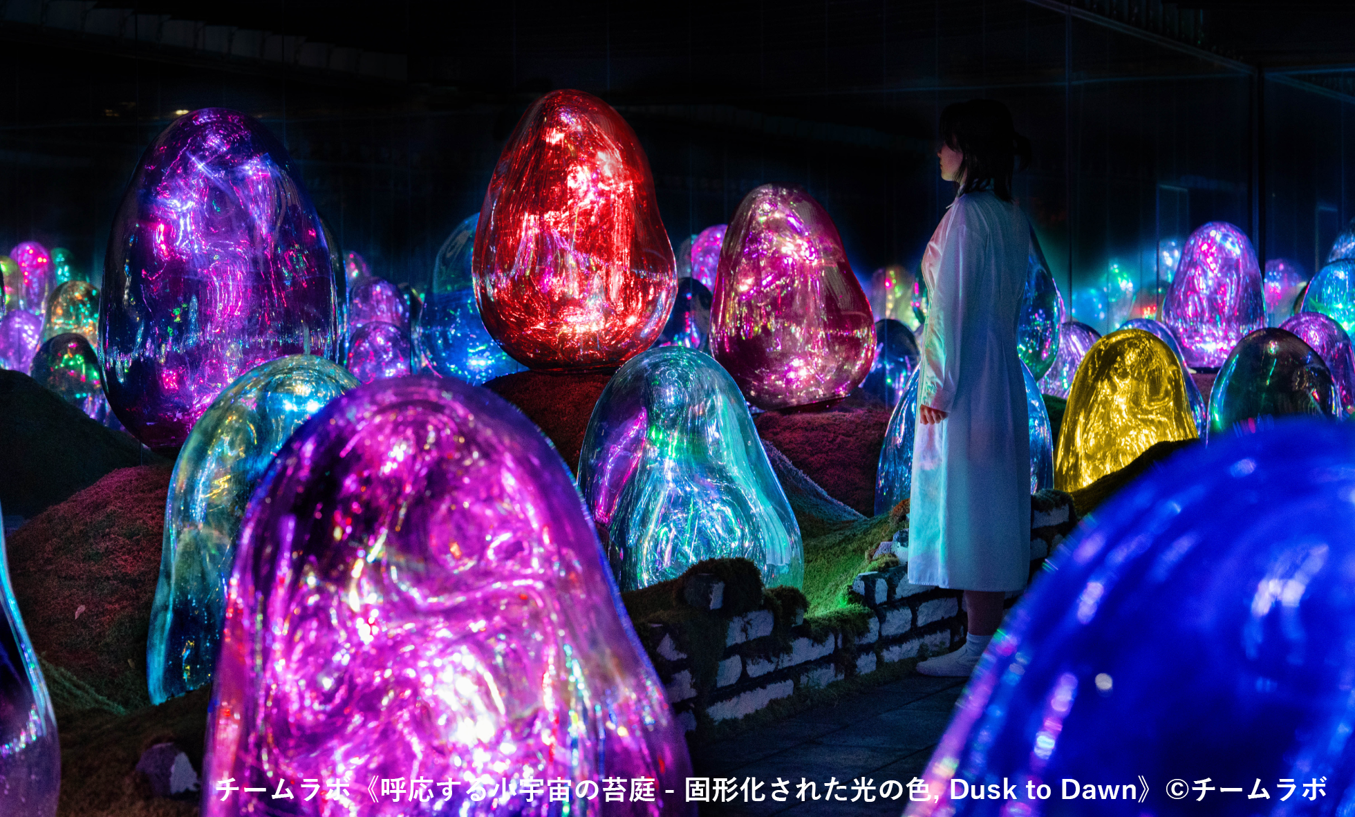チームラボプラネッツ TOKYO DMM.com