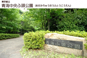 青海中央ふ頭公園